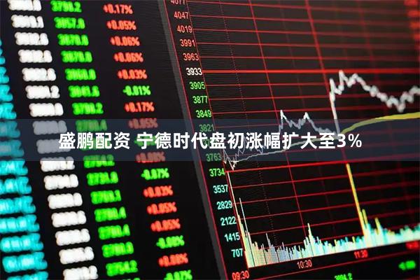 盛鹏配资 宁德时代盘初涨幅扩大至3%