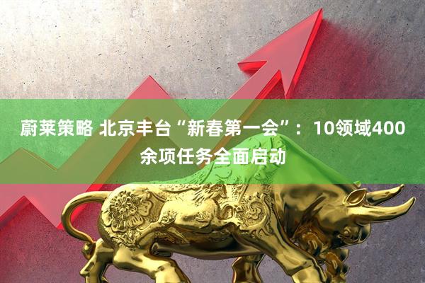 蔚莱策略 北京丰台“新春第一会”：10领域400余项任务全面启动