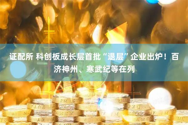 证配所 科创板成长层首批“退层”企业出炉！百济神州、寒武纪等在列
