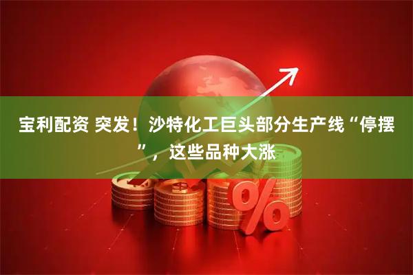 宝利配资 突发！沙特化工巨头部分生产线“停摆”，这些品种大涨