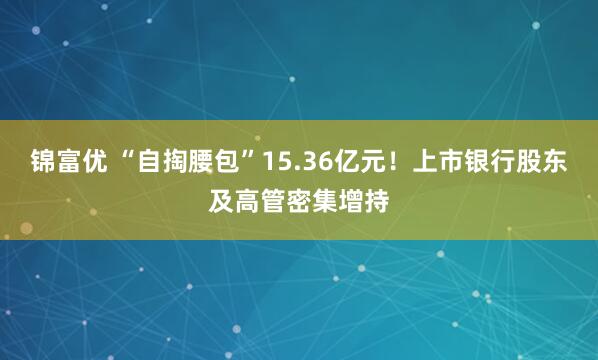锦富优 “自掏腰包”15.36亿元！上市银行股东及高管密集增持
