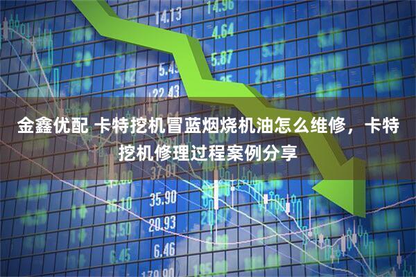 金鑫优配 卡特挖机冒蓝烟烧机油怎么维修，卡特挖机修理过程案例分享
