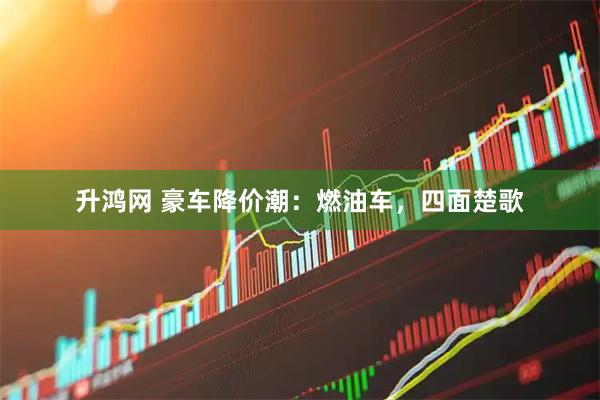 升鸿网 豪车降价潮：燃油车，四面楚歌