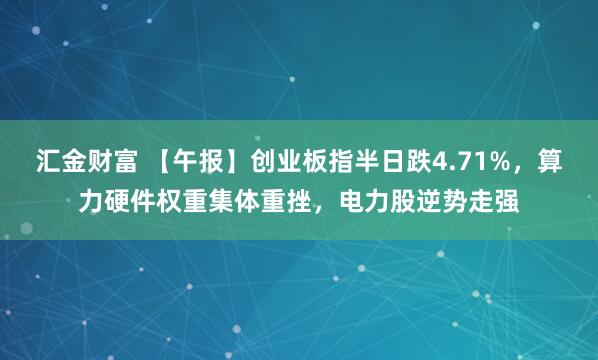 汇金财富 【午报】创业板指半日跌4.71%，算力硬件权重集体重挫，电力股逆势走强