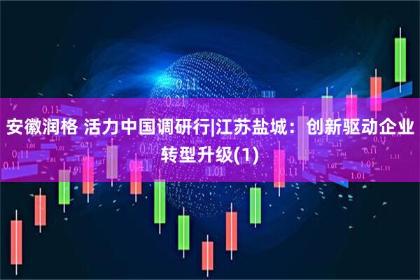 安徽润格 活力中国调研行|江苏盐城：创新驱动企业转型升级(1)