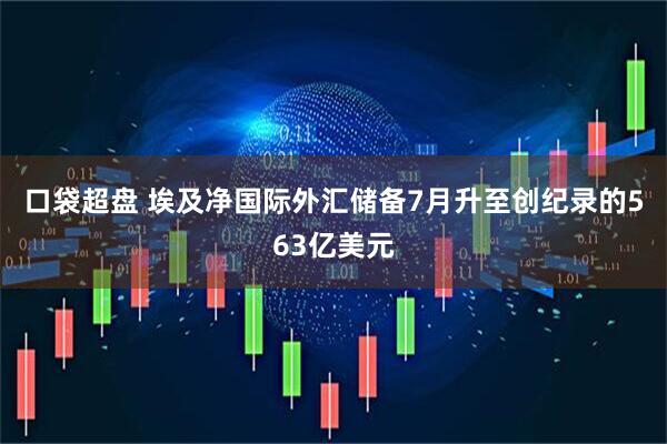 口袋超盘 埃及净国际外汇储备7月升至创纪录的563亿美元