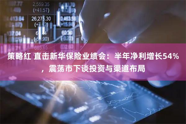 策略红 直击新华保险业绩会：半年净利增长54%，震荡市下谈投资与渠道布局